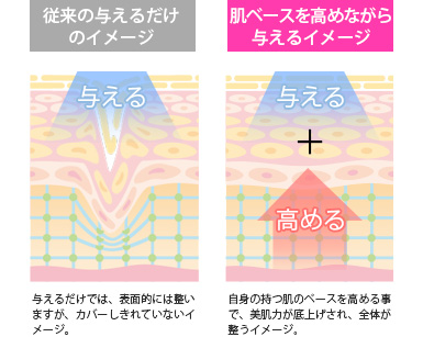 美ルル リバース