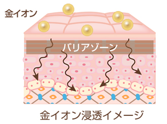 金イオン浸透イメージ図